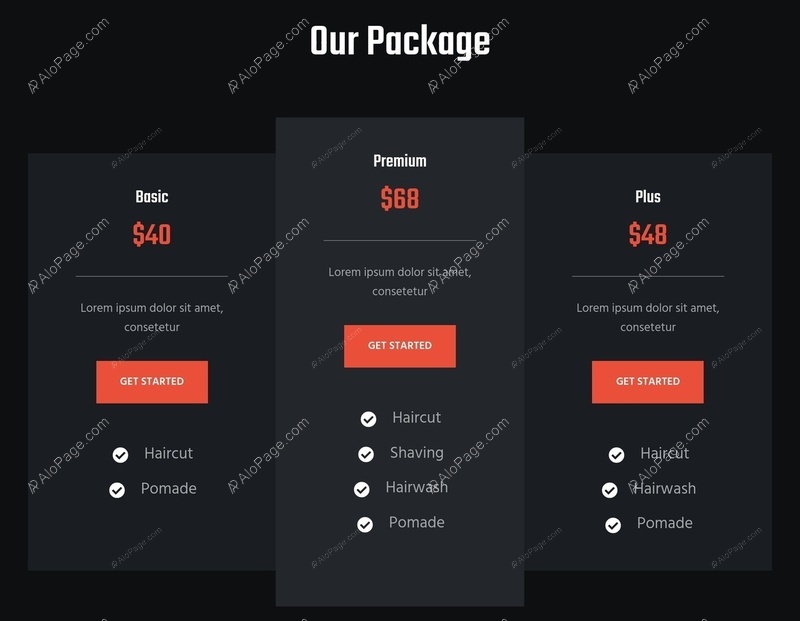 Affordable Pricing Plans For All Needs Website Template