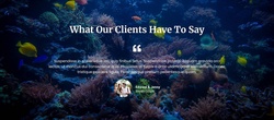 Client Testimonials Highlight