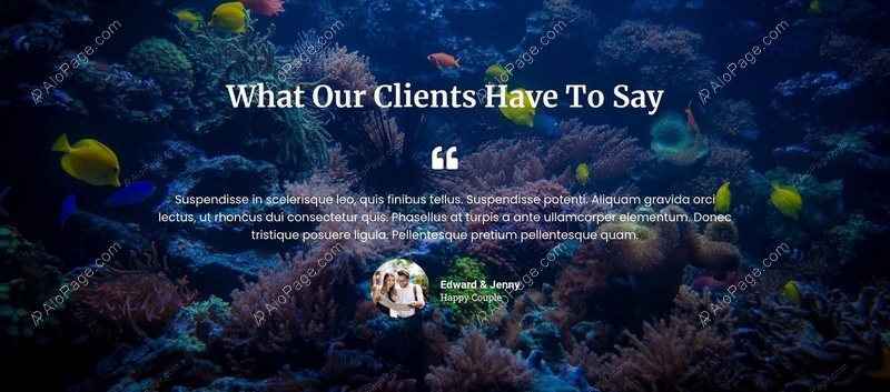 Client Testimonials Highlight Website Template