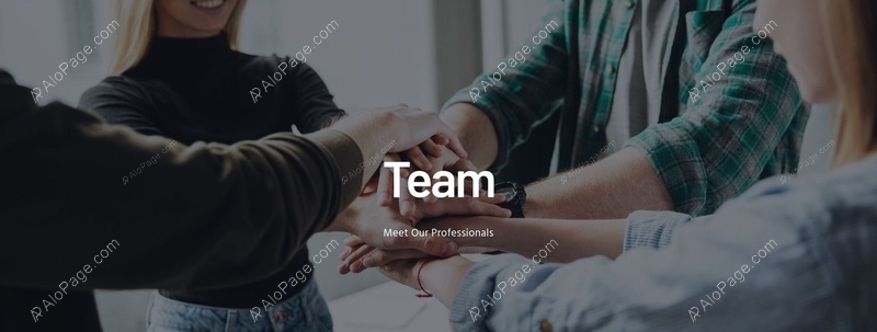 Meet Our Professionals Website Template