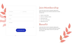 Contact Form Website Templates