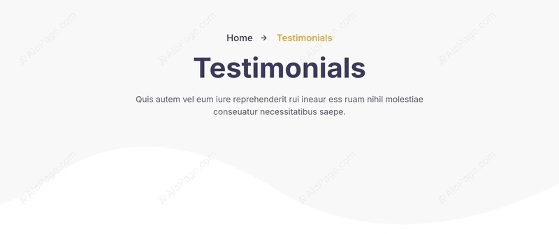 Customer Testimonials Showcase Website Template