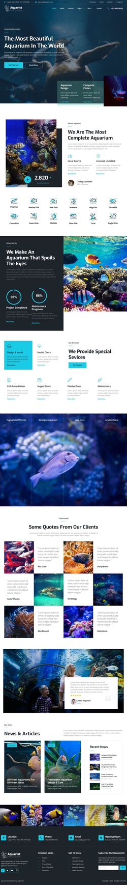 Dive Into The World Of Aquatic Beauty