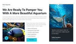 Transform Your Aquarium Experience