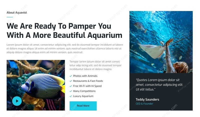 Transform Your Aquarium Experience Website Template