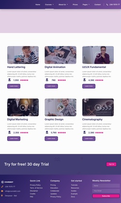 Education & Courses Website Templates