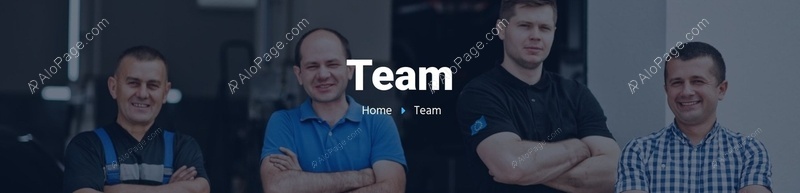 Meet Our Expert Team Website Template