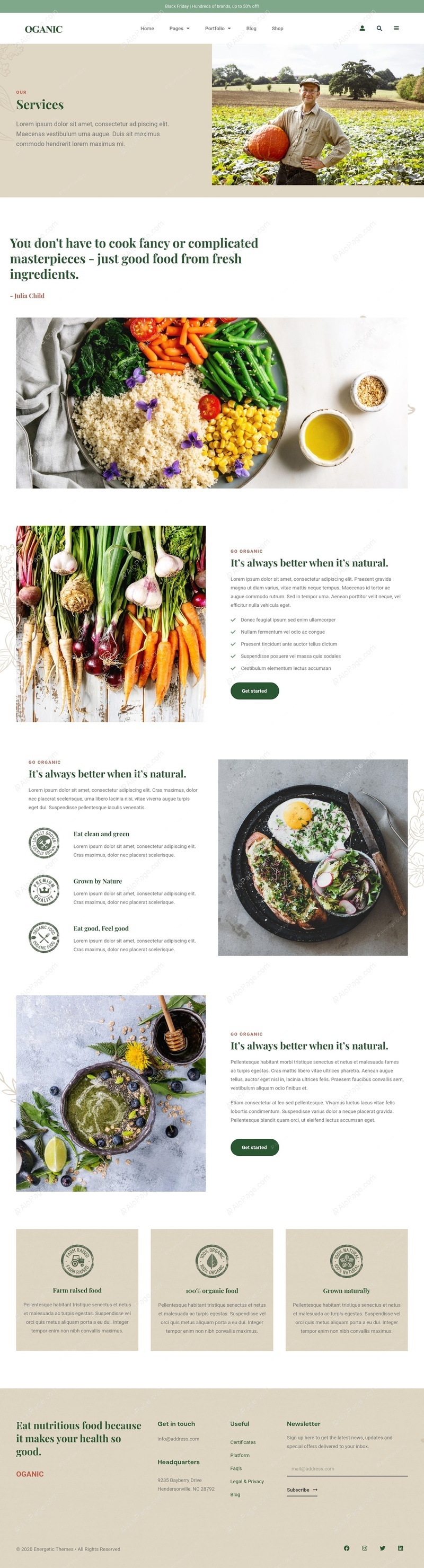 Cultivating Fresh Ingredients For A Healthy Lifestyle Website Template