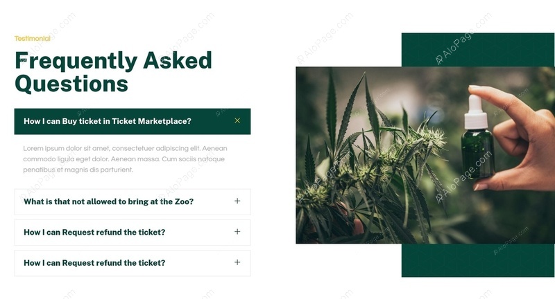 Essential FAQs About Ticket Marketplace Website Template