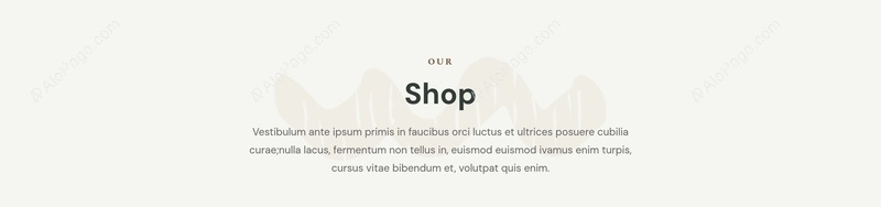Discover Our Exclusive Shop Website Template