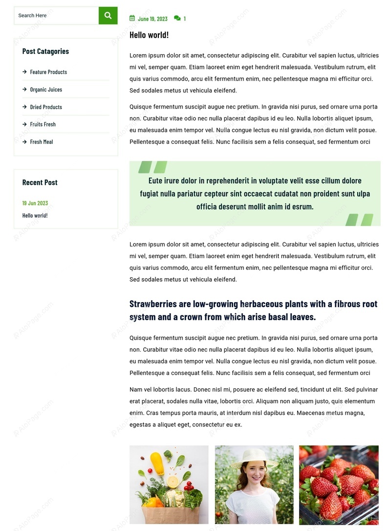 Fresh Insights And News Website Template