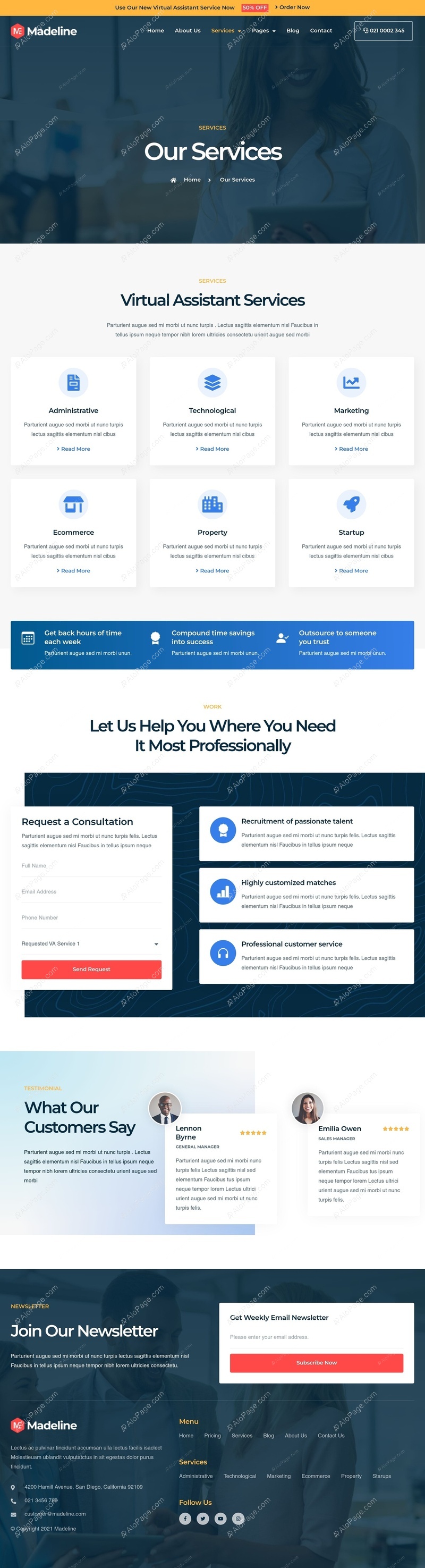 Professional Virtual Assistant Services For Your Business Website Template