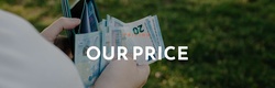 Pricing Table Website Templates