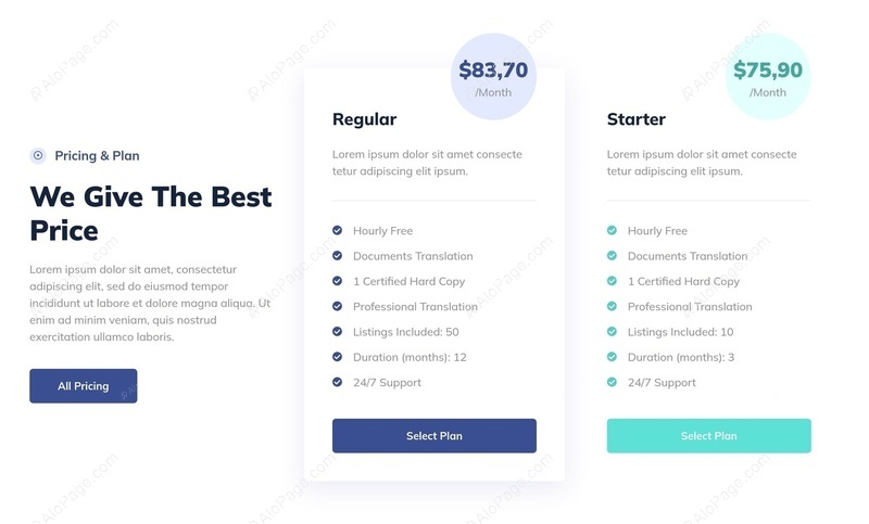 Affordable Pricing Options For Every Need Website Template