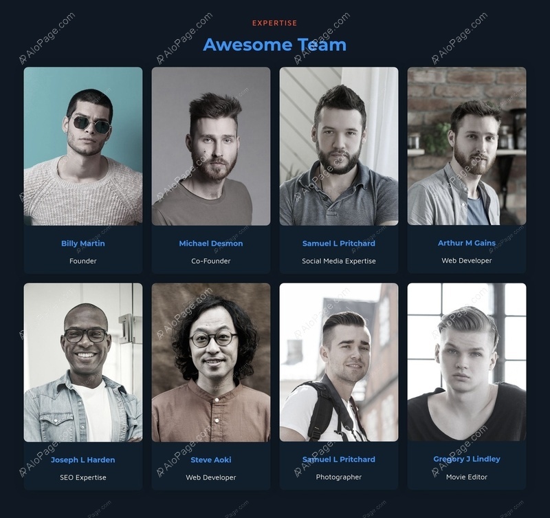 Meet Our Expert Team Website Template