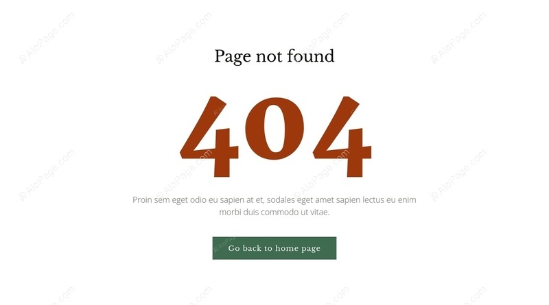 404 Page Not Found Solution Website Template