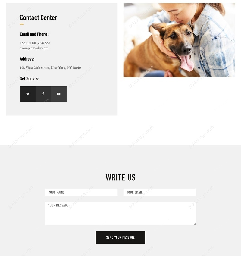 Contact Center & Write Us Section Website Template