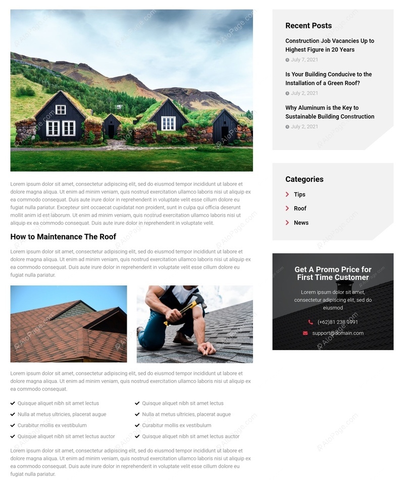 Building Excellence And Roof Maintenance Insights Website Template