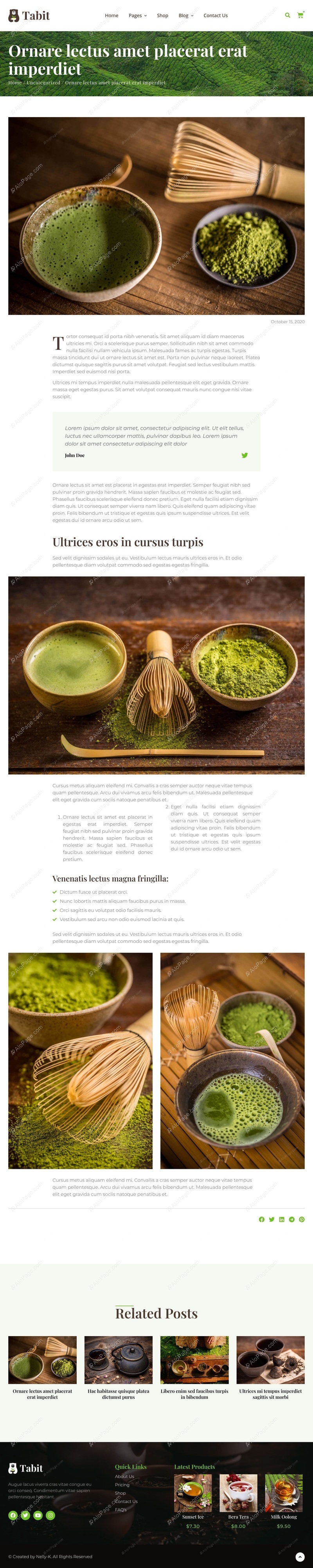 Discover The Art Of Tea Brewing And Wellness Website Template