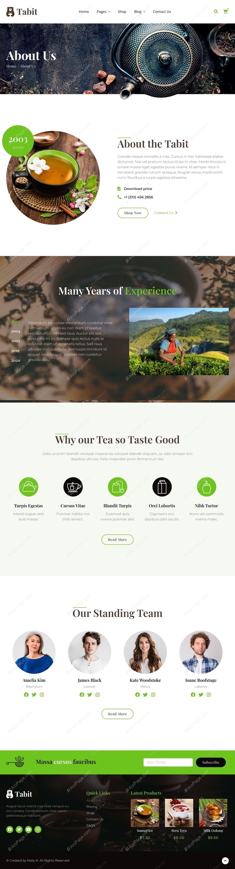 Explore Our Tea Legacy Website Template