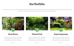 Image On Top Website Templates