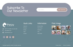 Newsletter Signup Website Templates