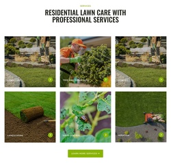 Professional Residential Lawn Care Services