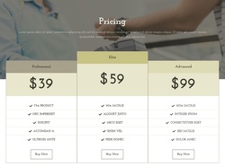 Pricing Table Website Templates