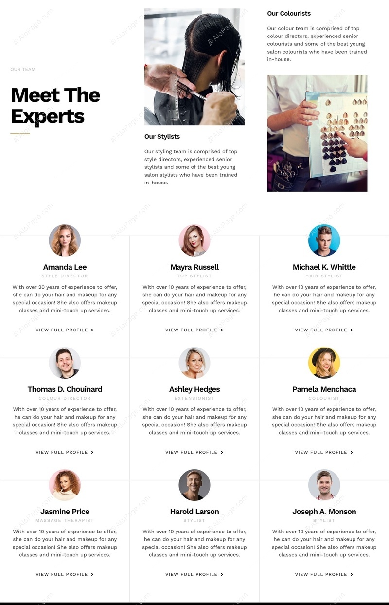 Showcase Your Skilled Team Website Template