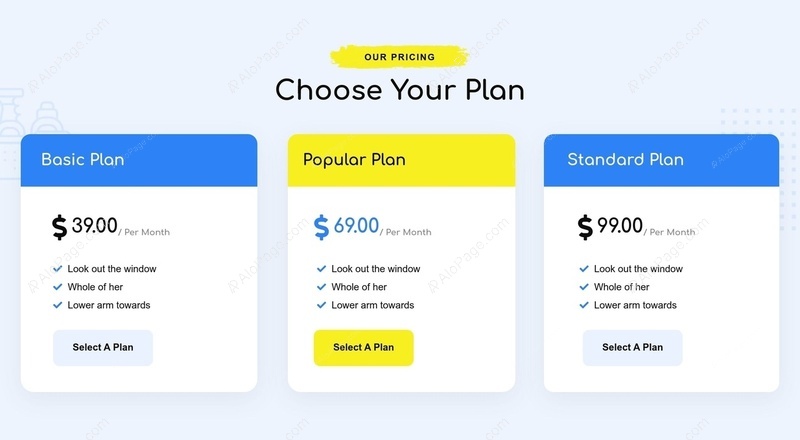 Flexible Subscription Plans For Every Need Website Template